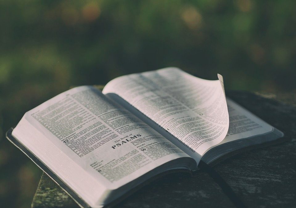My 100-Day Plan, Day 83: Reading and Studying the Bible Just Got Easier
